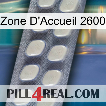 Home Zone 2600 08
